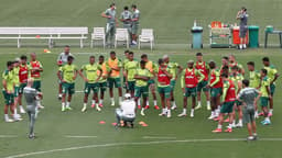 Treino Palmeiras