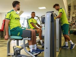 Treino Palmeiras