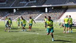 Treino Palmeiras