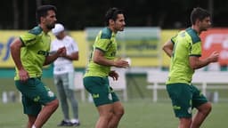 Treino Palmeiras