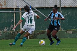 Palmeiras e Gremio feminino