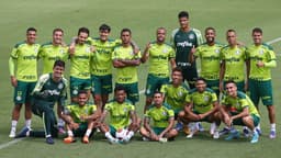 Palmeiras treino