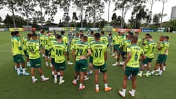 Treino Palmeiras