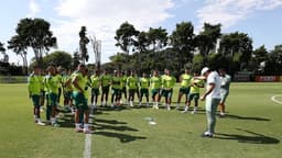 Treino Palmeiras