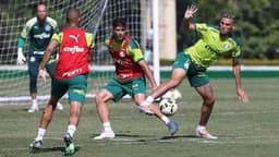 Treino Palmeiras