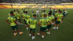 Treino Palmeiras - Equador