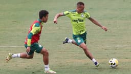 Treino Palmeiras