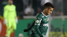 Atuesta - Palmeiras