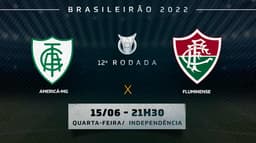 América-MG x fluminense