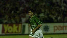 Arce Palmeiras