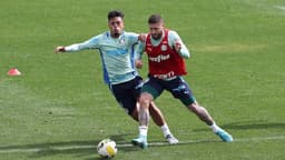 Treino Palmeiras