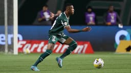 Palmeiras x Santos - Danilo