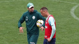 Palmeiras treino