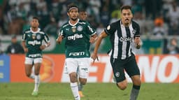 Botafogo x Palmeiras