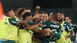 Botafogo x Palmeiras - comemoração Palmeiras