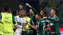 Palmeiras comemoração