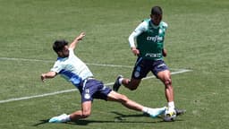 Palmeiras treino