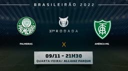 Palmeiras x América-MG