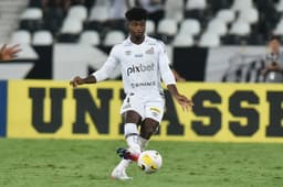 Botafogo x Santos - Bauermann