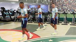 Reapresentação Palmeiras