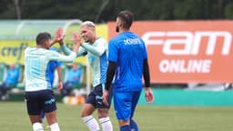 Palmeiras x Suzano - Jogo-Treino