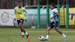 Treino Palmeiras