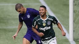 Palmeiras x Monte Azul - Jogo-Treino