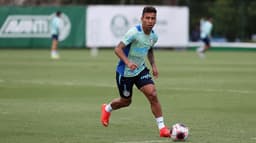 Marcos Rocha - Treino Palmeiras