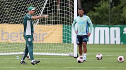 Treino Palmeiras