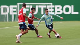 Treino Palmeiras