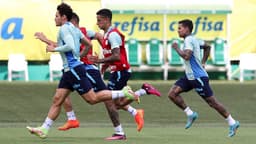 Treino Palmeiras