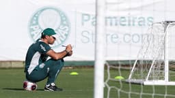 Abel Ferreira - Palmeiras