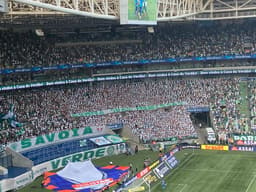 Palmeiras 1x0 Ituano - Torcida do Palmeiras