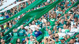 Palmeiras x Agua Santa - Torcida