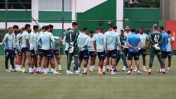 Treino Palmeiras