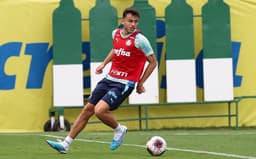 pedro_lima_treino_palmeiras-aspect-ratio-512-320