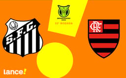 tr-santos-x-flamengo