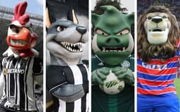 Mascotes dos clubes brasileiros