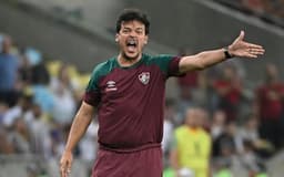 Fernando-Diniz-tecnico-do-Fluminense-Foto-AFP-aspect-ratio-512-320