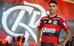 luiz-araujo-flamengo-aspect-ratio-512-320