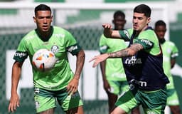 22042024_cg_palmeiras_6222_3-aspect-ratio-512-320