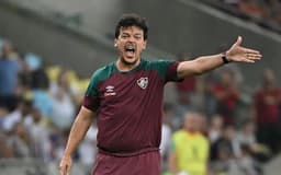 Fernando-Diniz-tecnico-do-Fluminense-Foto-AFP-aspect-ratio-512-320