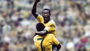 GALERIA: Veja as Copas disputadas por Pelé e o clube que ele defendia no período de cada Mundial