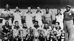 Seleção Brasileira na Copa de 1950