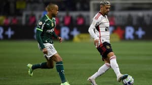 Palmeiras-x-Flamengo-Campeonato-Brasileiro-Allianz-Parque-08-07-2023-MarceloCortes_NWS5828-scaled-aspect-ratio-512-320
