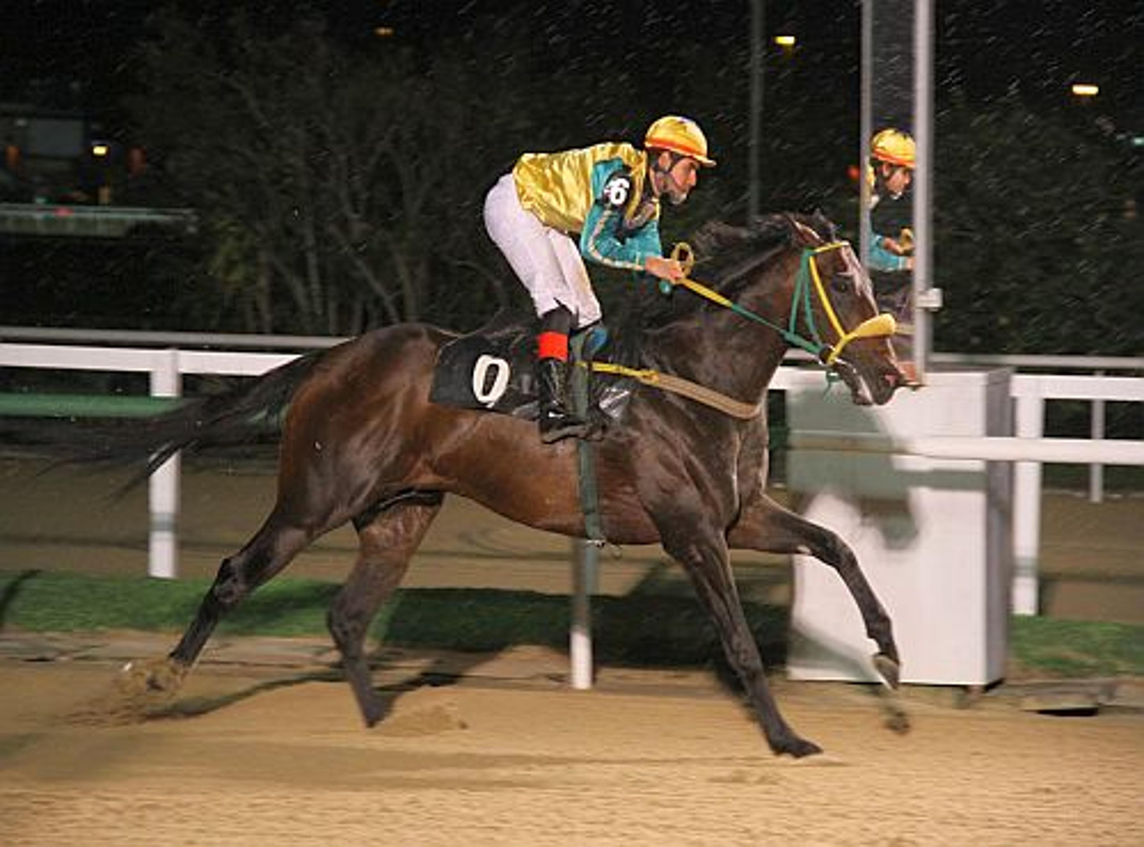 Arenáticos disputam G3 na Gávea