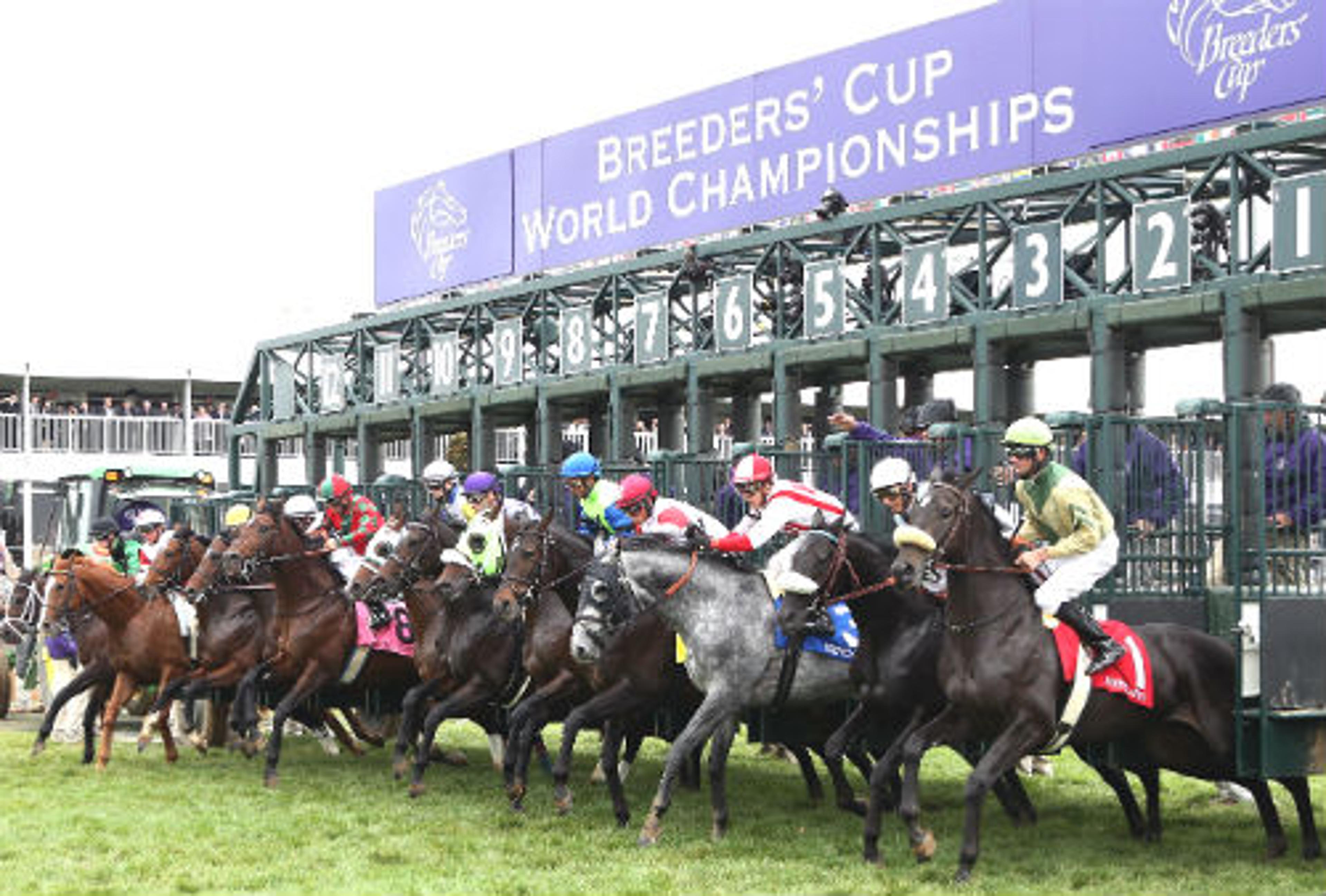 Rio vive as emoções da Breeder’s Cup