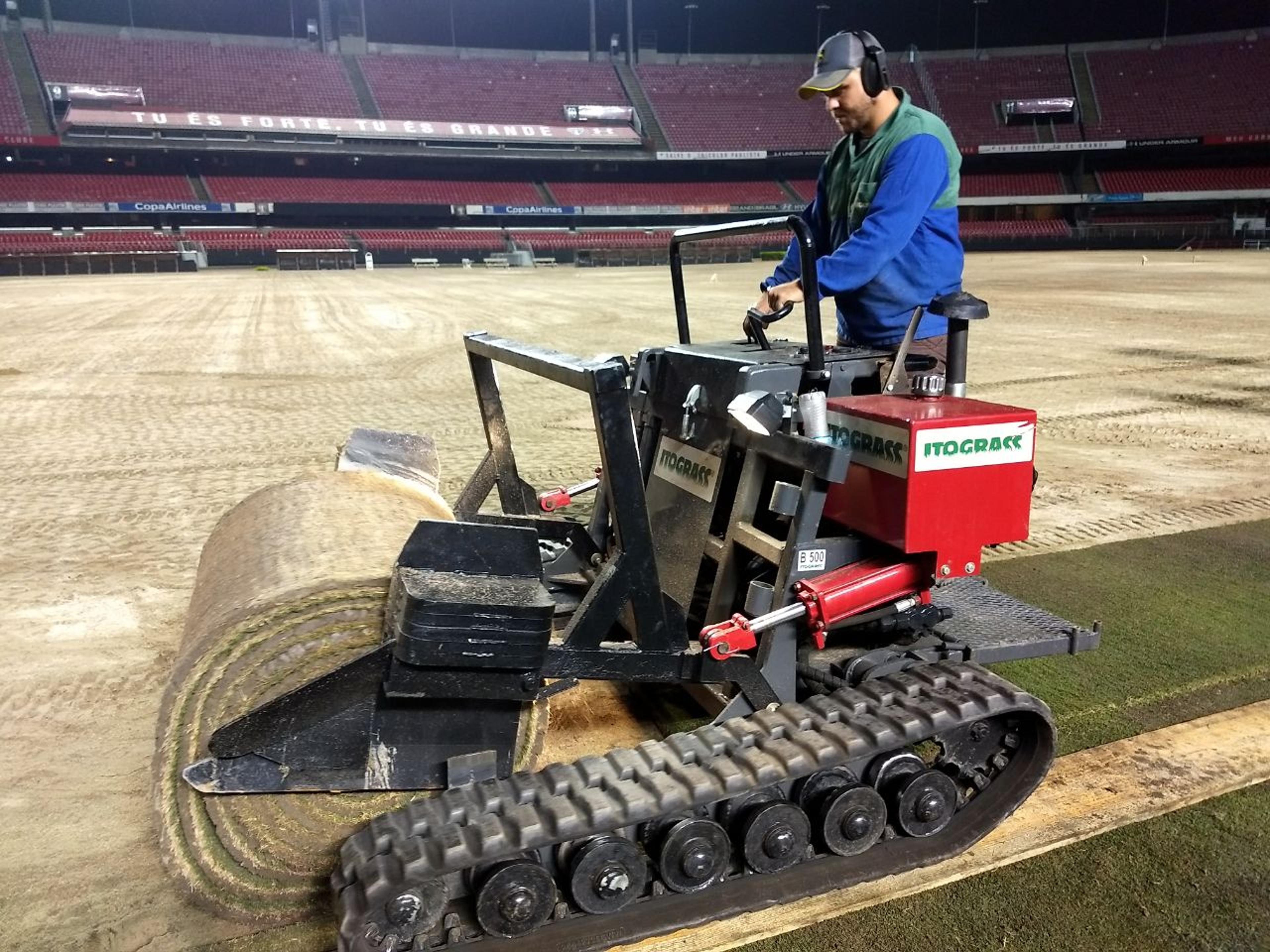 Pronto para jogo: depois de dois dias, gramado do Morumbi está plantado