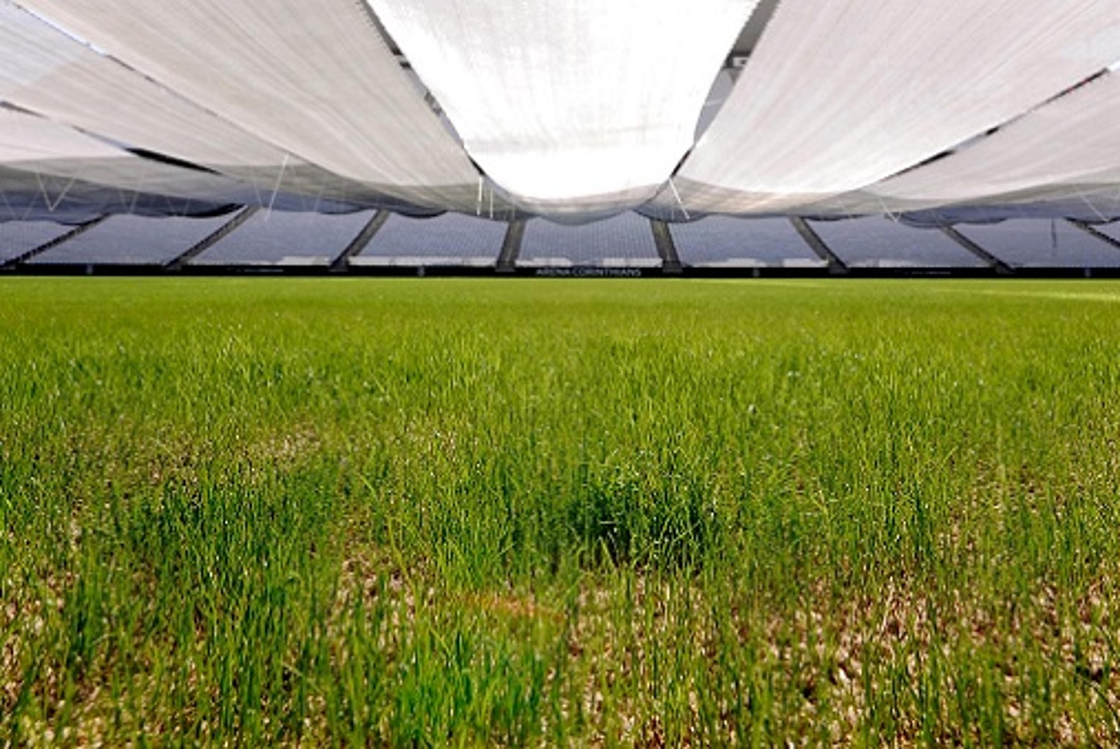 Gramado da Arena Corinthians segue em desenvolvimento; veja novas fotos