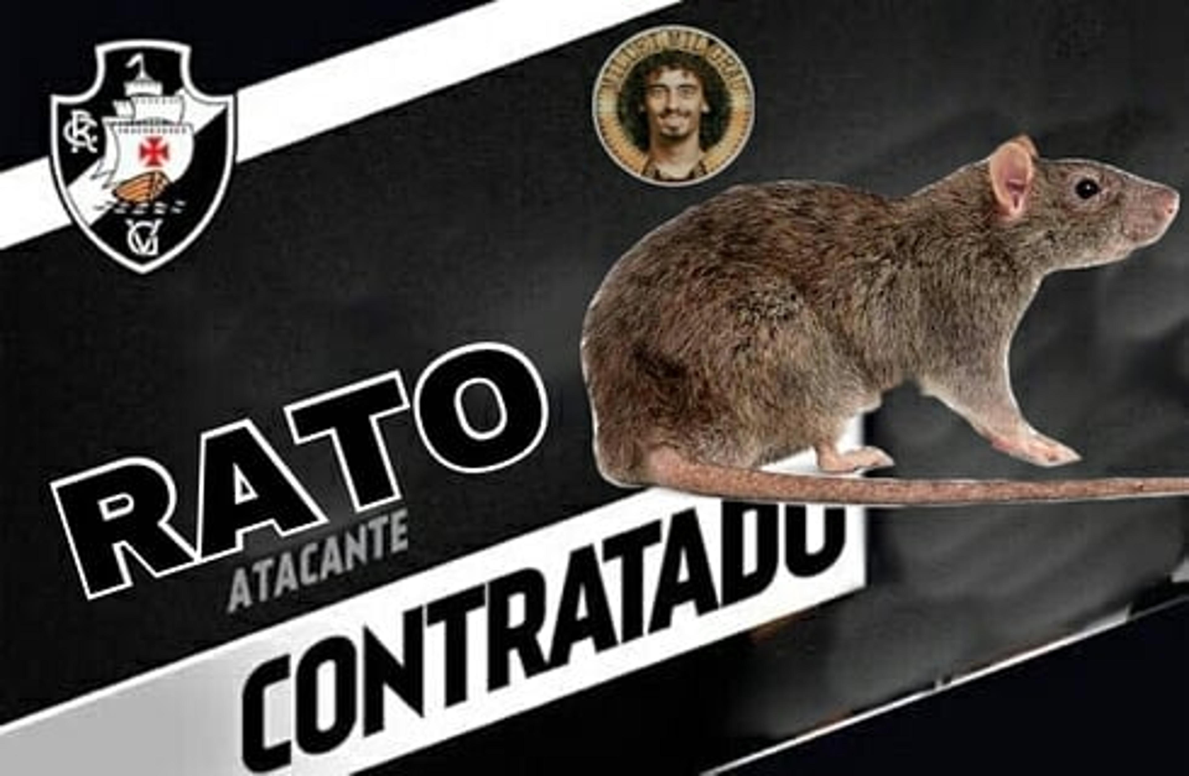 Rato invade campo em São Januário e gera memes nas redes